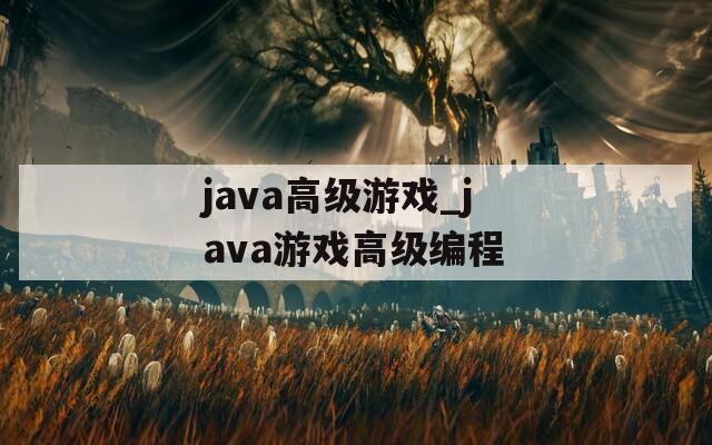 java高级游戏_java游戏高级编程