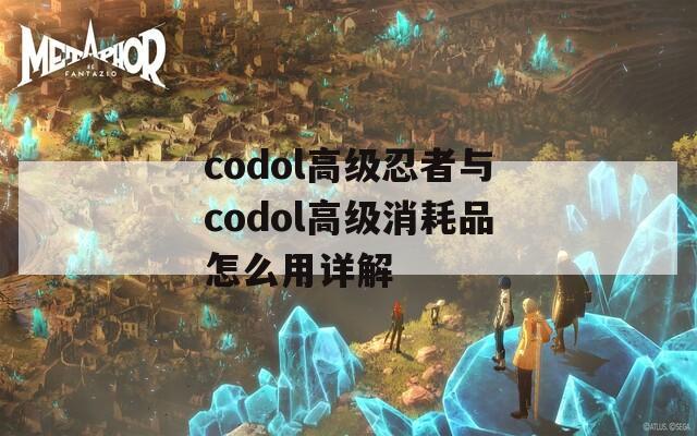 codol高级忍者与codol高级消耗品怎么用详解