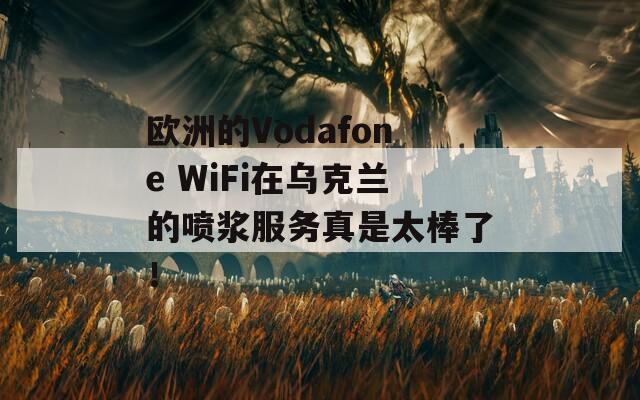 欧洲的Vodafone WiFi在乌克兰的喷浆服务真是太棒了！