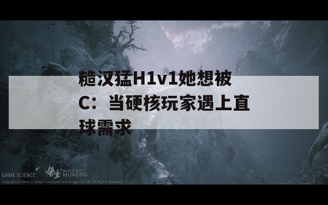 糙汉猛H1v1她想被C：当硬核玩家遇上直球需求