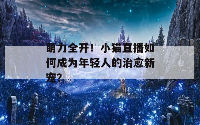 萌力全开！小猫直播如何成为年轻人的治愈新宠？