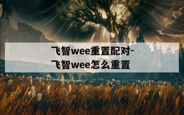 飞智wee重置配对-飞智wee怎么重置