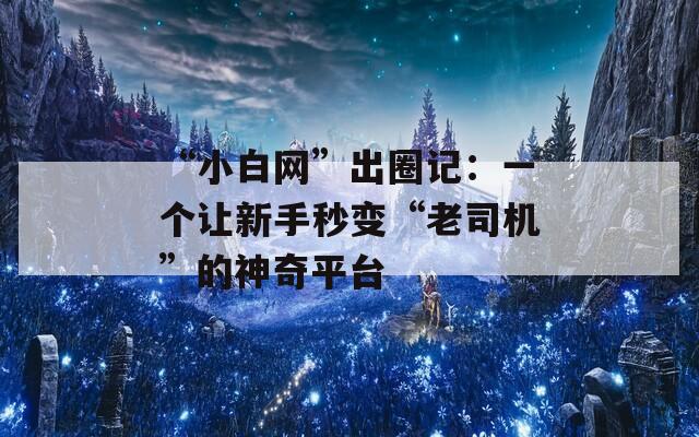 “小白网”出圈记：一个让新手秒变“老司机”的神奇平台