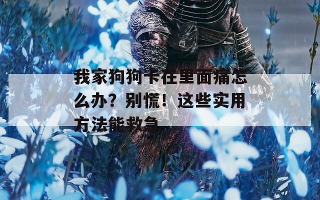 我家狗狗卡在里面痛怎么办？别慌！这些实用方法能救急