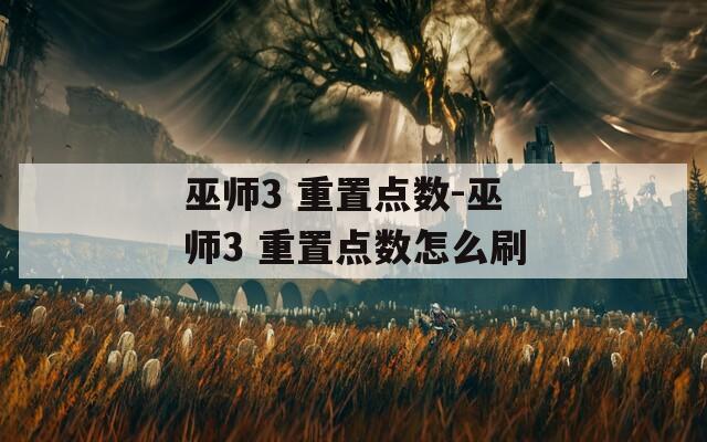 巫师3 重置点数-巫师3 重置点数怎么刷