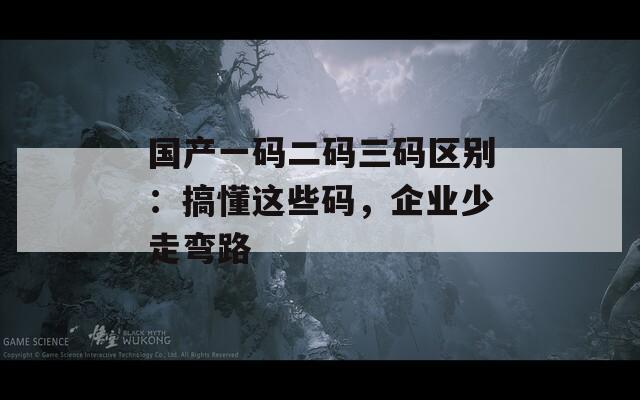 国产一码二码三码区别：搞懂这些码，企业少走弯路