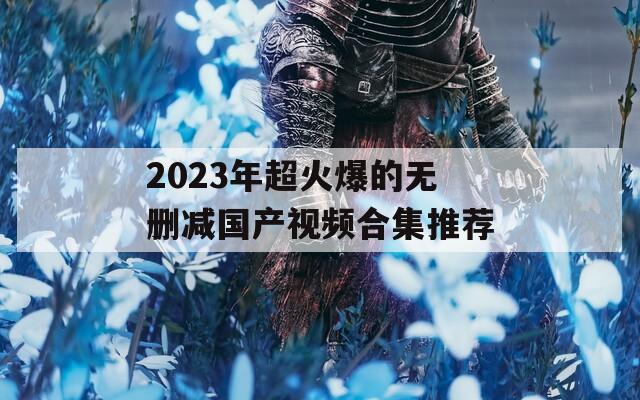 2023年超火爆的无删减国产视频合集推荐