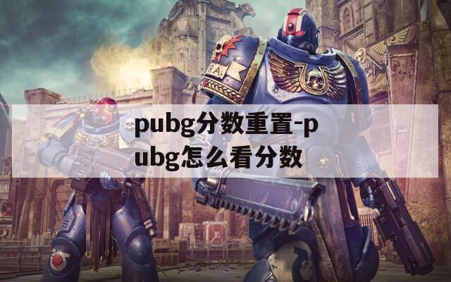 pubg分数重置-pubg怎么看分数