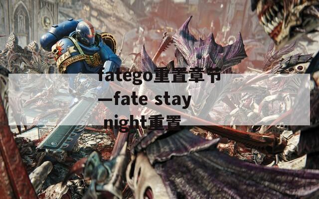 fatego重置章节—fate stay night重置