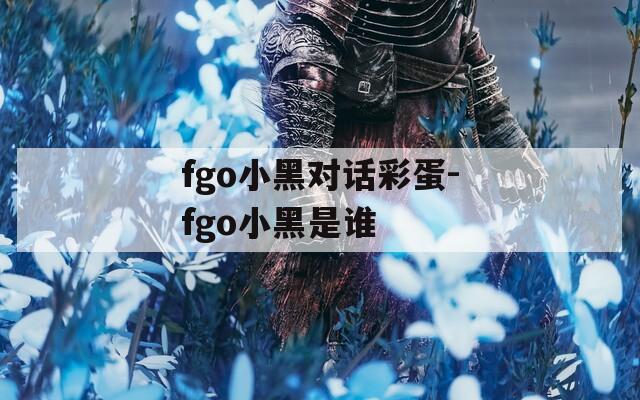 fgo小黑对话彩蛋-fgo小黑是谁