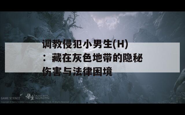 调教侵犯小男生(H)：藏在灰色地带的隐秘伤害与法律困境