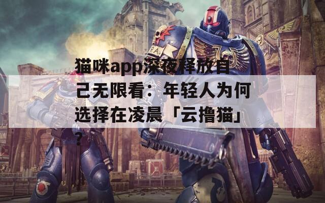 猫咪app深夜释放自己无限看：年轻人为何选择在凌晨「云撸猫」？