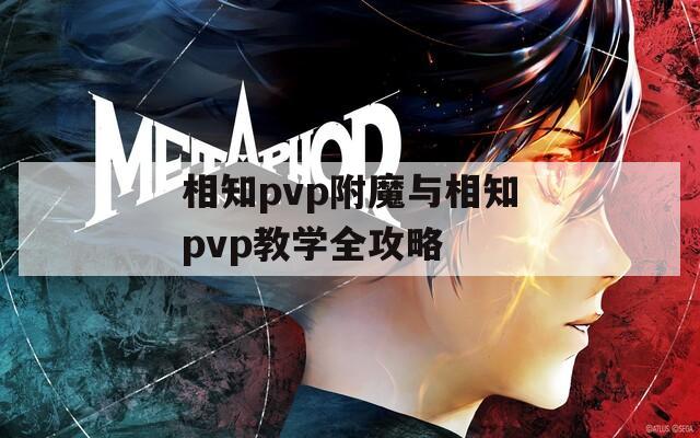 相知pvp附魔与相知pvp教学全攻略