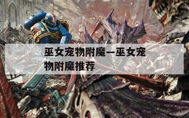 巫女宠物附魔—巫女宠物附魔推荐