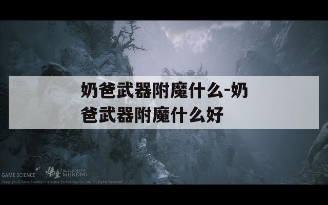 奶爸武器附魔什么-奶爸武器附魔什么好