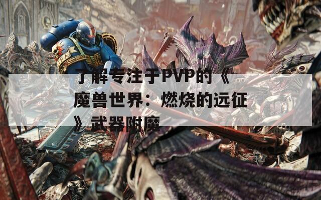 了解专注于PVP的《魔兽世界：燃烧的远征》武器附魔