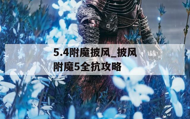 5.4附魔披风_披风附魔5全抗攻略
